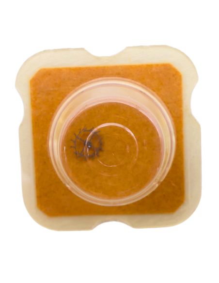 ETA 2360 702 Roue d'ancre pivotée pour deux contre-pivots - Escape wheel and pinion pivoted for two end-pieces