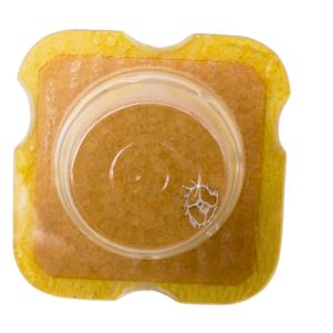 ETA 2482 42 Roue d'ancre pivotée pour deux contre-pivots - Escape wheel and pinion pivoted for two end-pieces