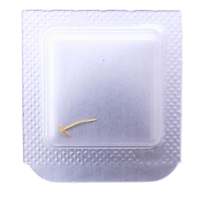 ETA 2650 - 434 Cliquet-ressort (à l'unité) - Clicking spring (per unit)