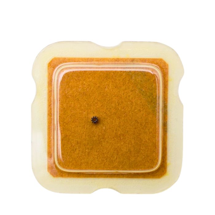 ETA 277.001 42 Renvoi - Setting wheel