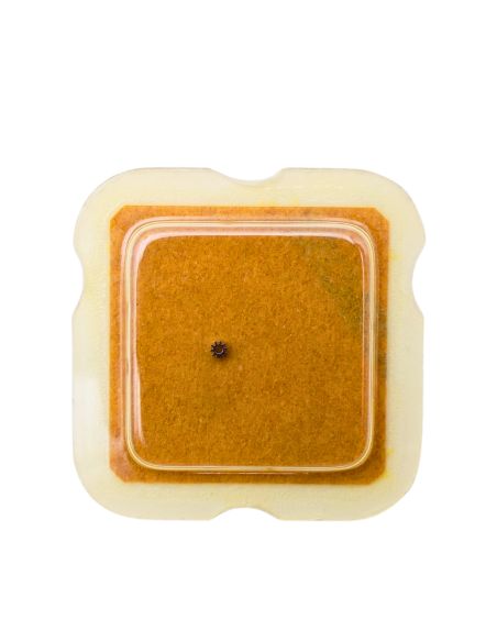 ETA 277.001 450 Renvoi - Setting wheel