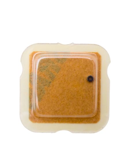 ETA 2801-2 450 Renvoi - Setting wheel