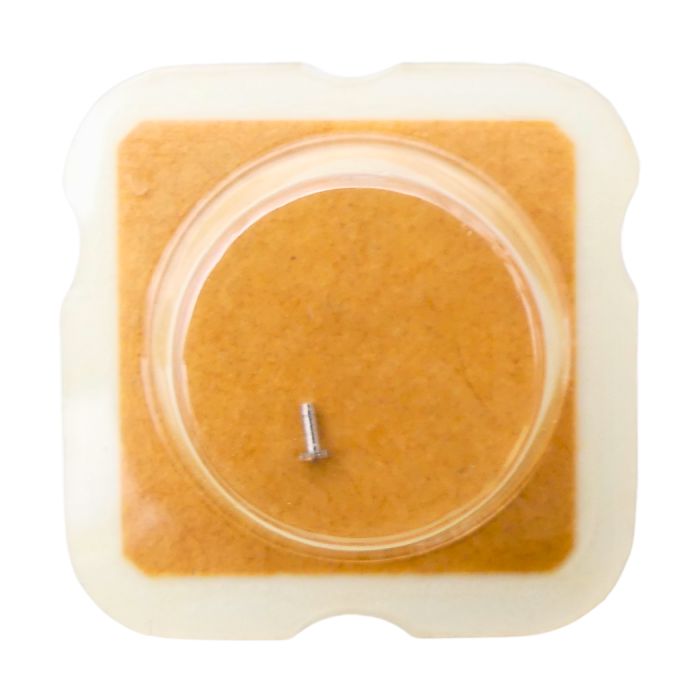 ETA 976.001 - 243 Chaussée non lanternée - Cannon pinion without clam notch