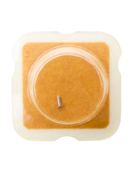 ETA 976.001 - 243 Chaussée non lanternée - Cannon pinion without clam notch