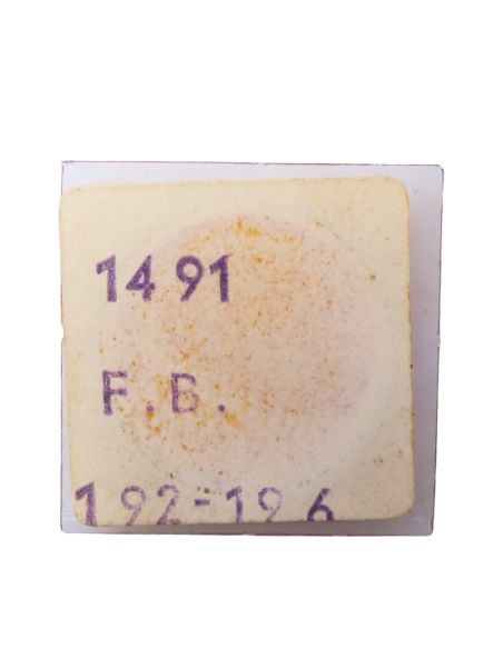 F.B. 192 42 Verrou de masse oscillante- Oscillating weight bolt