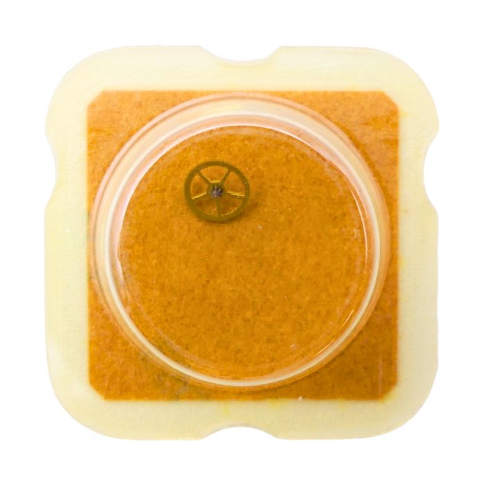 FEF 6660 - 210 Roue moyenne (à l'unité) - Third wheel and pinion (per unit)