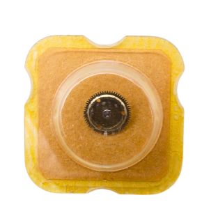 Felsa 1560 42 Roue-cliquet - Pawl winding wheel