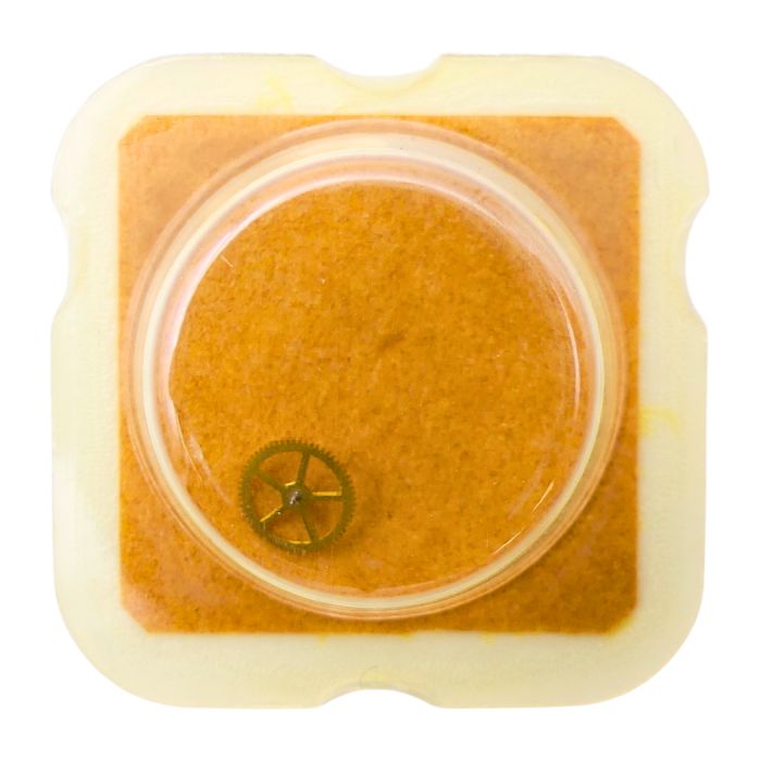 FHF 34-10 - 210 Roue moyenne (à l'unité) - Third wheel and pinion (per unit)