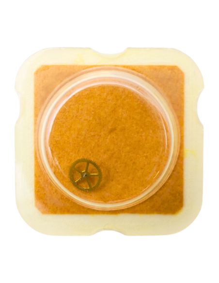 FHF 34-10 - 210 Roue moyenne (à l'unité) - Third wheel and pinion (per unit)