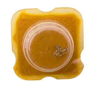 FHF 55 702 Roue d'ancre pivotée pour deux contre-pivots - Escape wheel and pinion pivoted for two end-pieces