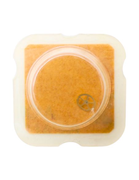 FHF 59-21 - 210 Roue moyenne (à l'unité) - Third wheel and pinion (per unit)