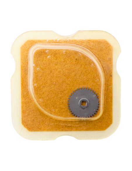 FHF 60/60N - 415 Rochet (à l'unité) - Ratchet wheel (per unit)