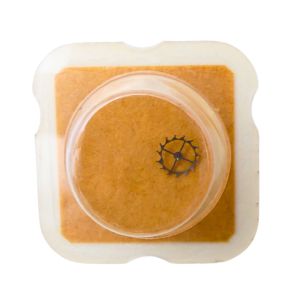 FHF 66 42 Roue d'ancre pivotée pour deux contre-pivots - Escape wheel and pinion pivoted for two end-pieces