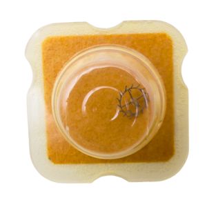 FHF 67 42 Roue d'ancre pivotée pour deux contre-pivots - Escape wheel and pinion pivoted for two end-pieces