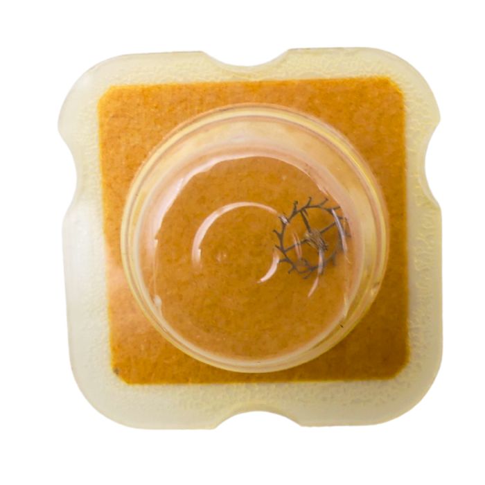 FHF 67 702 Roue d'ancre pivotée pour deux contre-pivots - Escape wheel and pinion pivoted for two end-pieces