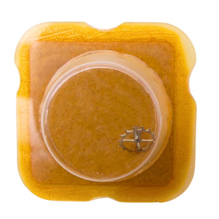 FHF 74 42 Roue d'ancre pivotée pour deux contre-pivots - Escape wheel and pinion pivoted for two end-pieces