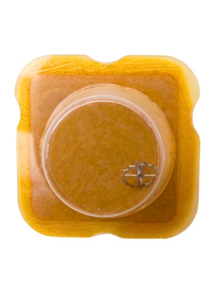 FHF 74 702 Roue d'ancre pivotée pour deux contre-pivots - Escape wheel and pinion pivoted for two end-pieces