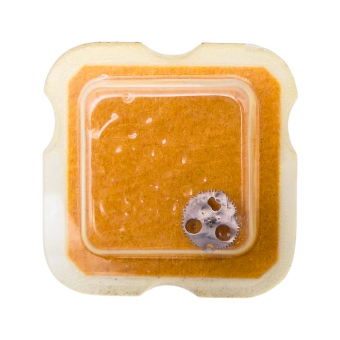 FHF 90-5 42 Mobile entraineur - Driving Gear