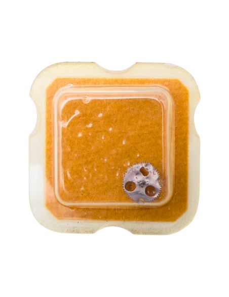 FHF 90-5 42 Mobile entraineur - Driving Gear