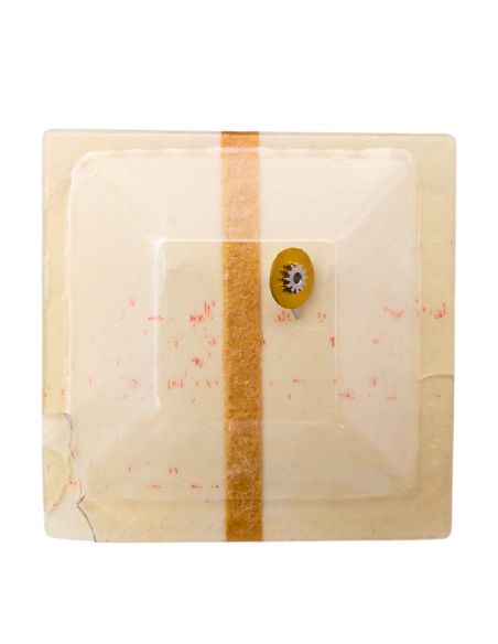 Förster 201 - 243 Chaussée non lanternée - Cannon pinion without clam notch