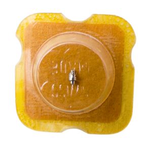 INT 72 195 Arbre de Barillet - Barrel arbor