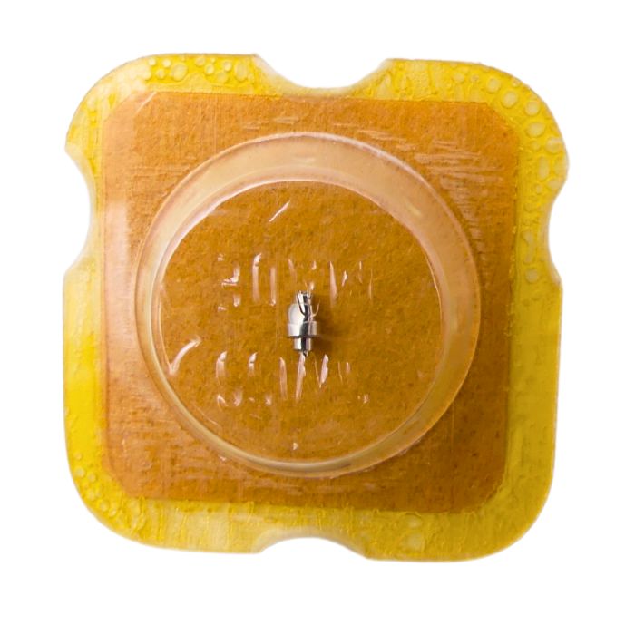 INT 72 42 Arbre de Barillet - Barrel arbor