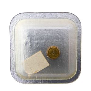 MSR T5 42 Roue-cliquet complète - Pawl winding wheel complete