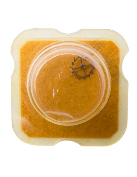 Peseux 7040 42 Roue d'ancre pivotée pour deux contre-pivots - Escape wheel and pinion pivoted for two end-pieces