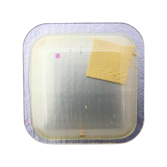 Poljot 2209 324 "incabloc" dessus - "incabloc" upper