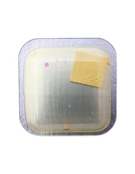 Poljot 2209 324 "incabloc" dessus - "incabloc" upper