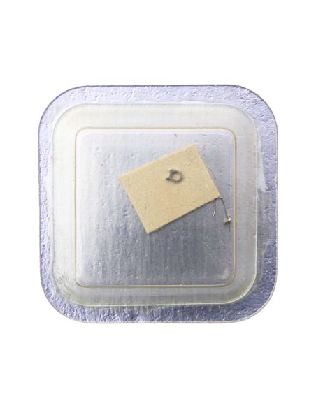 Zenith 1110/1120 425 Cliquet - Click