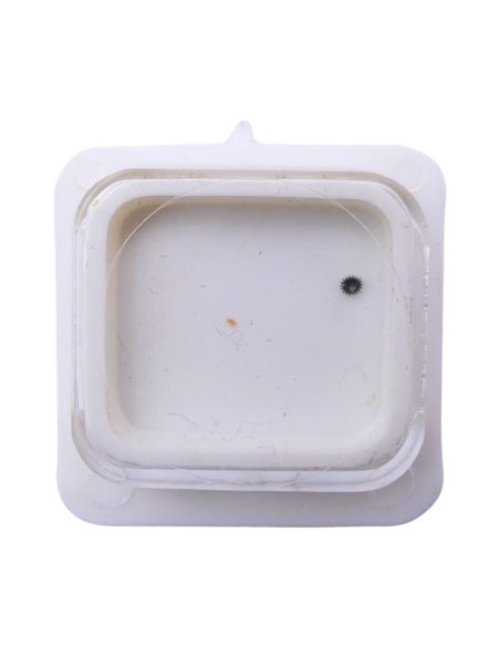 ESA 282.001 42 Renvoi - Setting wheel