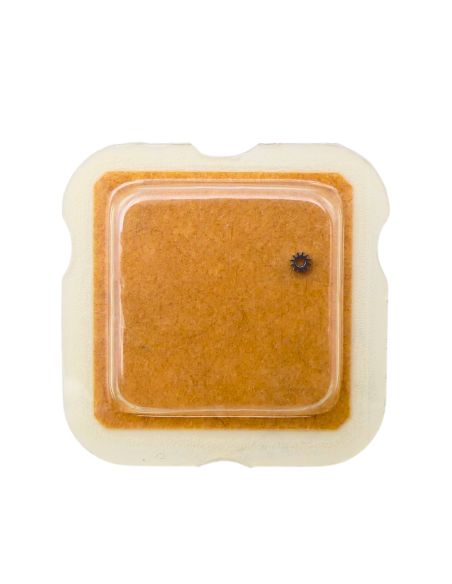 ETA 2512-1 450 Renvoi - Setting wheel