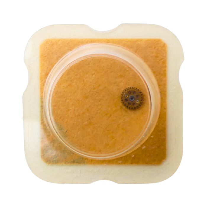 ETA 2550 42 Roue-cliquet complète - Pawl winding wheel complete