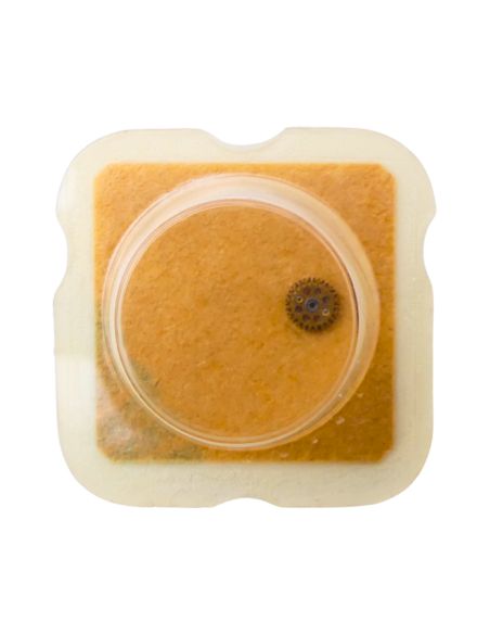 ETA 2550 42 Roue-cliquet complète - Pawl winding wheel complete