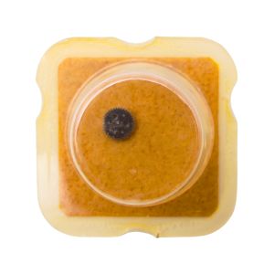 AS 1782 42 Roue-cliquet complète - Pawl winding wheel complete