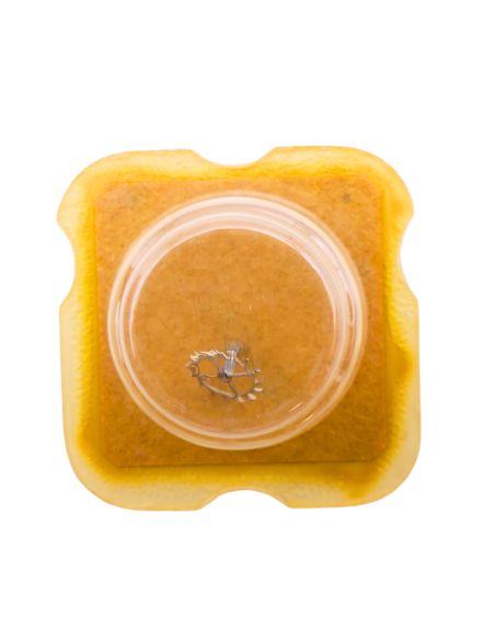 FEF 6680 42 Roue d'ancre pivotée pour deux contre-pivots - Escape wheel and pinion pivoted for two end-pieces