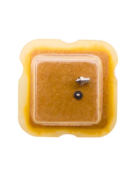 AS 1051 42 Arbre de Barillet - Barrel arbor