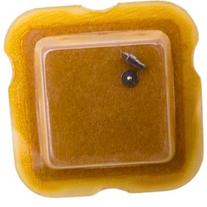 AS 1977-2 42 Arbre de Barillet - Barrel arbor