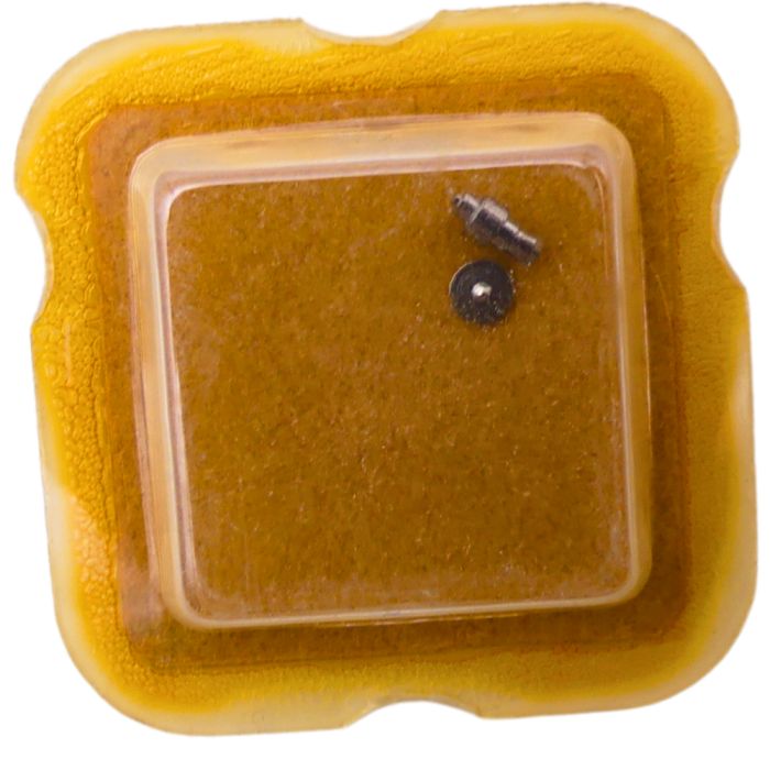 AS 1977-2 195 Arbre de Barillet - Barrel arbor