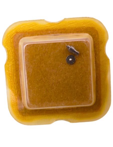 AS 1977-2 195 Arbre de Barillet - Barrel arbor