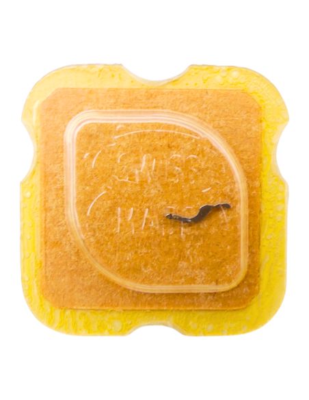 ETA 2360 - 435 Bascule (à l'unité) - Yoke (clutch lever) (per unit)