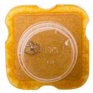 AS 1240 702 Roue d'ancre pivotée pour deux contre-pivots - Escape wheel and pinion pivoted for two end-pieces