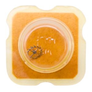 AS 1690 - 704 Roue d'ancre pivotée pour contre-pivot dessus (à l'unité) - Escape wheel and pinion pivoted for upper end-piece (p