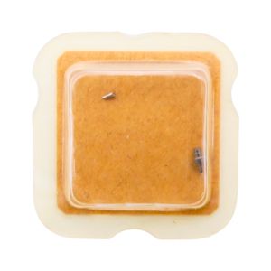 AS 2440 195 Arbre de Barillet - Barrel arbor