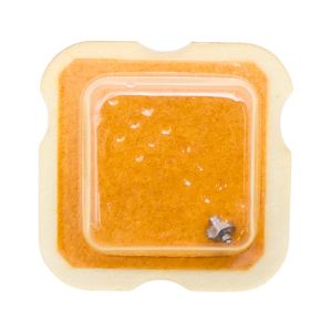 AS 2490 195 Arbre de Barillet - Barrel arbor