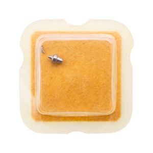 AS 2540 195 Arbre de Barillet - Barrel arbor