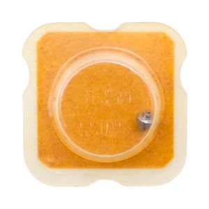 AS 2620 195 Arbre de Barillet - Barrel arbor