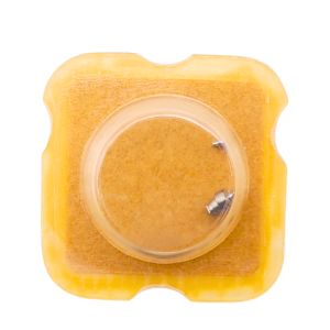 AS 2850 42 Arbre de Barillet - Barrel arbor