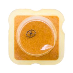 AS 976 - 704 Roue d'ancre pivotée pour contre-pivot dessus (à l'unité) - Escape wheel and pinion pivoted for upper end-piece (pe